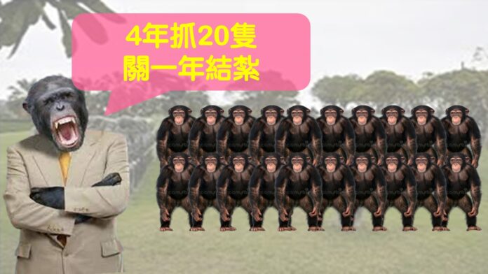 4-6定業務報告及質詢(君)2025926